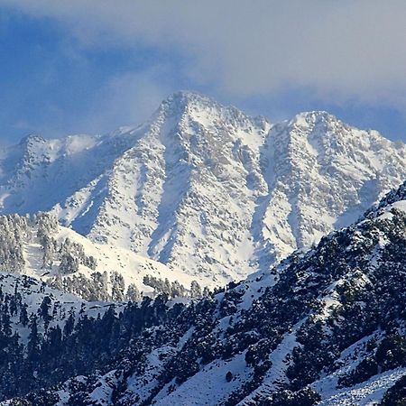 Hotel Bliss Valley Dharamshala - Beautiful View Of Mountains From Rooms 外观 照片