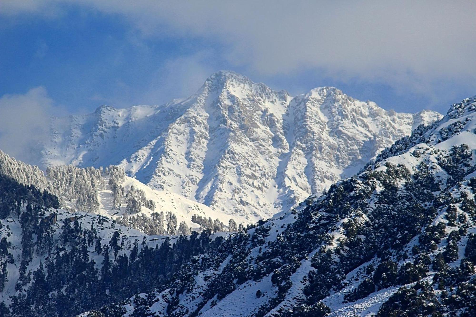 Hotel Bliss Valley Dharamshala - Beautiful View Of Mountains From Rooms 外观 照片