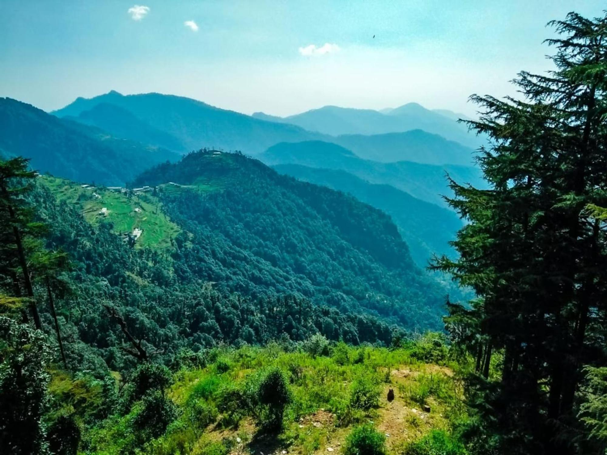 Hotel Bliss Valley Dharamshala - Beautiful View Of Mountains From Rooms 外观 照片